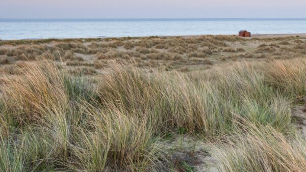 Winterton beach and dunes