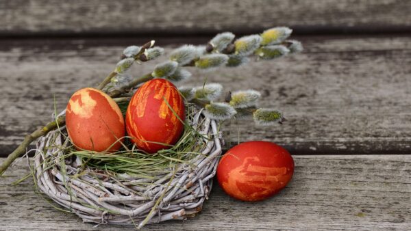 Things to do in Norfolk this Easter