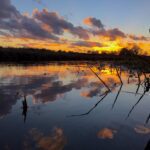 Norfolk Broads Sunset