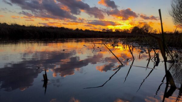 Norfolk Broads at Sunset