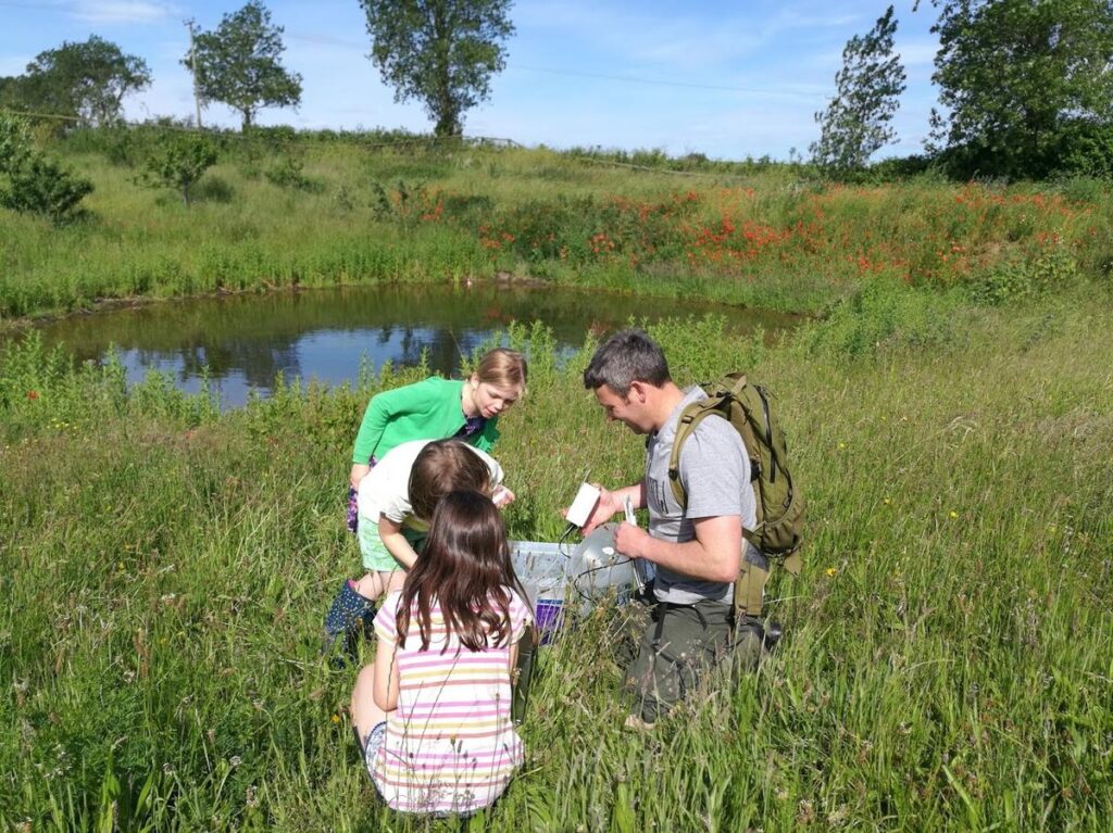 Children looking at a moth trap at Mill Farm's wildife pond