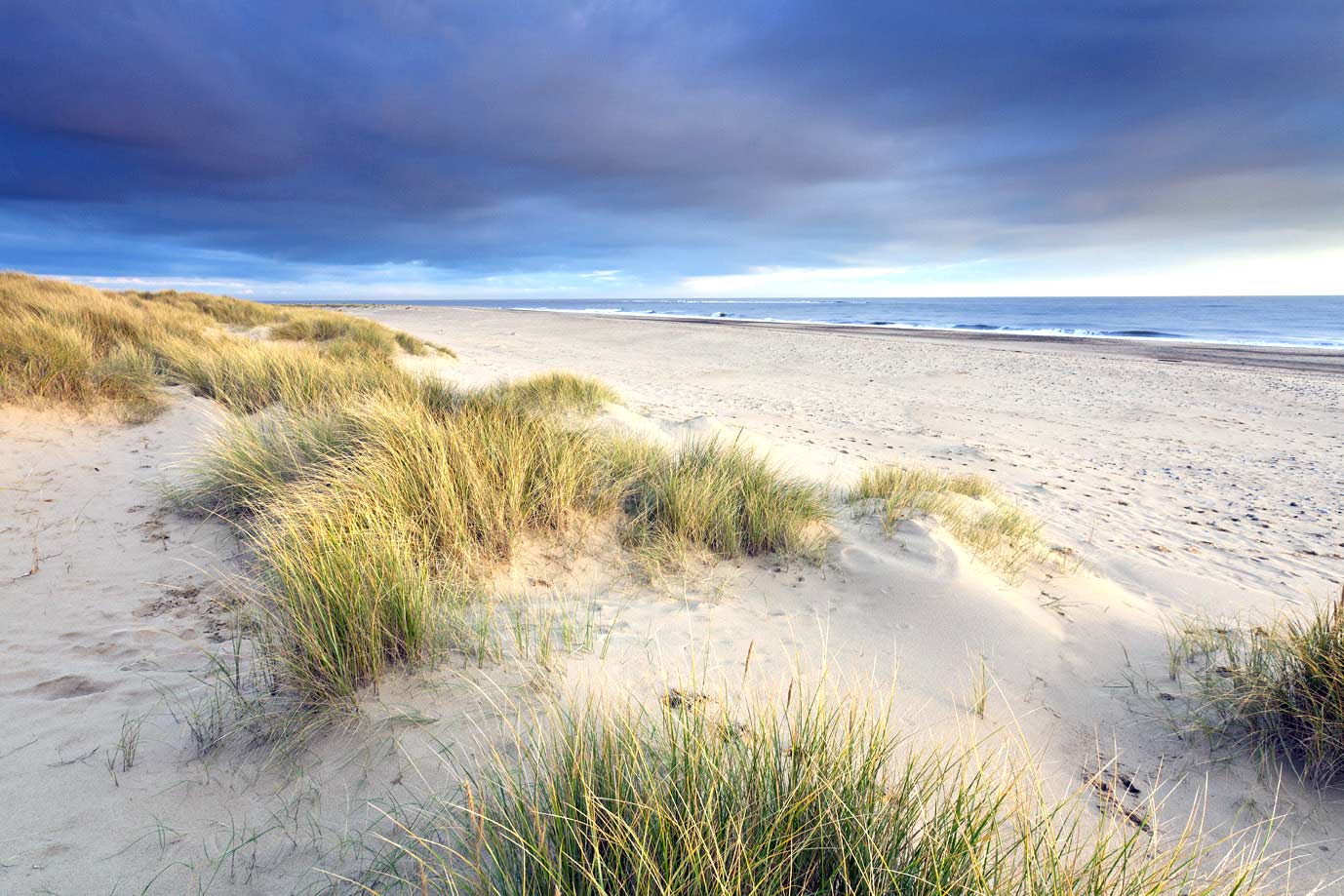 Dog friendly beach holidays Norfolk