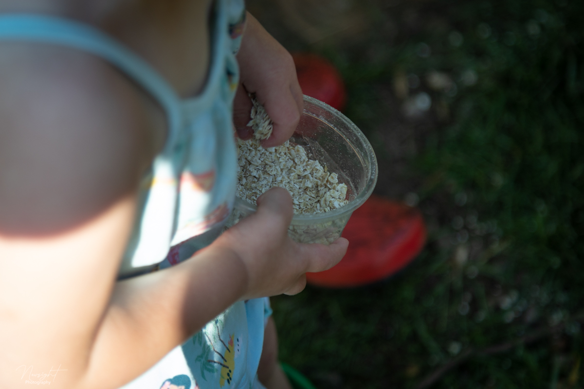 Kids can feed chickens and collect eggs
