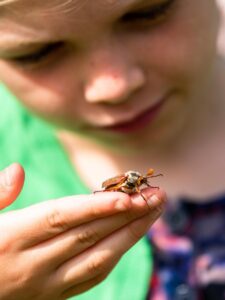 MillFarmEcoBarnRob (22)