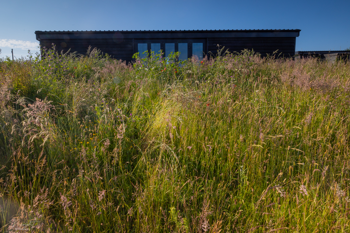 Barn in Meadow - Mill Farm Eco Barn