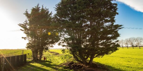 Threshing Barn - Norfolk Self Catering