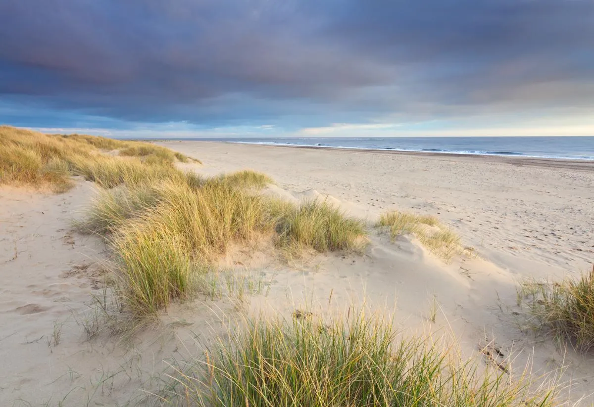Dog-friendly beaches at Winterton-on-Sea
