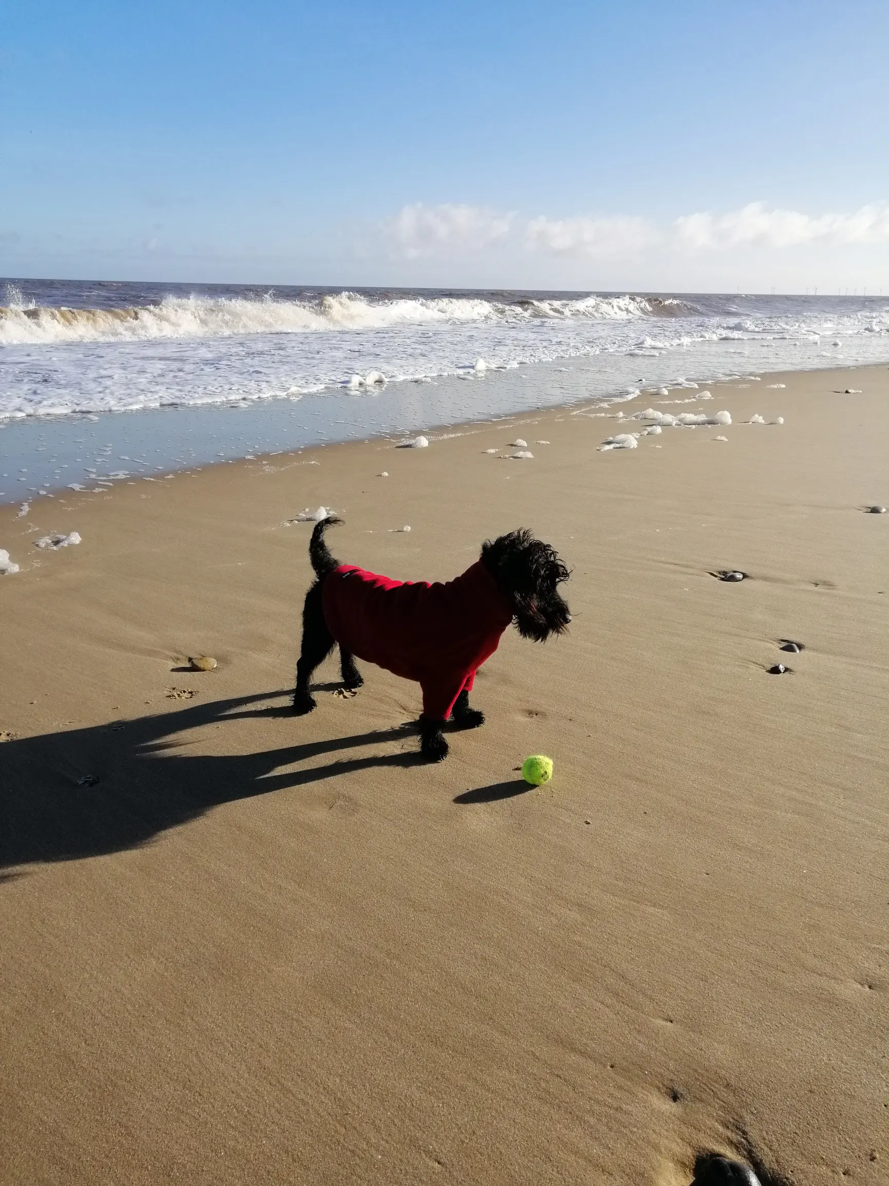 Dog-friendly stays at Mill Farm Eco Barns
